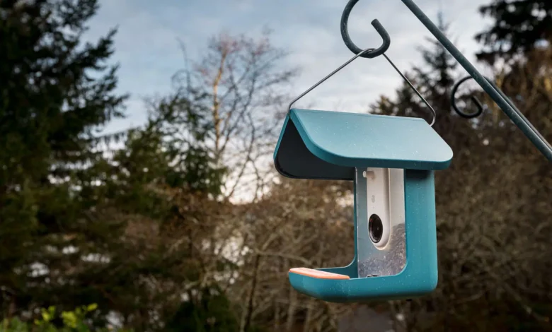 Bird Feeder Cameras